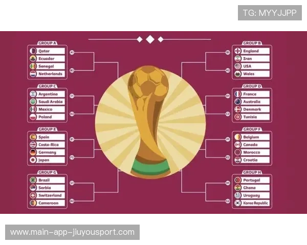 足球比赛技术分析软件应用